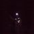 Jess Van Diest's profile image