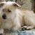 Gail Bentzinger's profile image