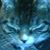 Den Bur's profile image