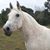 Maryjo Kennedy's profile image