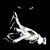 Nathaniel Martin's profile image
