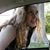 Beth Davis Wilson's profile image