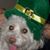 Marie Quaglia's profile image