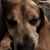 Lisa Mulloy's profile image