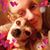Maxine Calkins's profile image