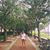 Christine D'Andrea's profile image