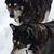Evelyn Ostheimer's profile image