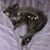 Bobby Holz's profile image