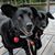 Lorinda Birmingham's profile image