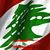 Nazih G. Fadel's profile image