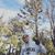 Kevin Arsal's profile image