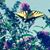 Bobbie Smith DeRock's profile image