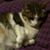 Cindi Holldorf's profile image