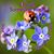 Thyra Gilbert's profile image