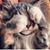 Jeanine Holleman's profile image