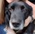 Katy Kalkbrenner's profile image