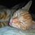 Doreen Niedzolkowski's profile image