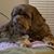 Robyn Royer Coker's profile image