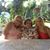 Darlene Brison's profile image