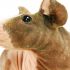 Belinda T.'s profile image