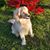 Laura Lee Akeley's profile image