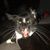 Sean Truslow's profile image