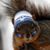 Anne Matthews White's profile image