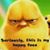 Jorge Morales's profile image
