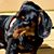 Douglas Clifford's profile image