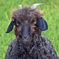 Beth Donovan's profile image