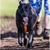 Tracey Smith's profile image