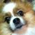 Janice Philpot's profile image