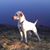Karen Simmons's profile image