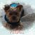 Michelle Kim's profile image