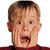 Luca Pedrini's profile image