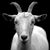 Terri C Ming's profile image