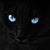 Jody Deibler's profile image