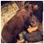 Jason Adkins's profile image
