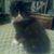 Margaret Shutko-Dmyterko's profile image