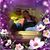 Synda Glasure-Haag's profile image