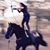 Kathee McGuire's profile image