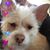 Marquetta Taylor's profile image