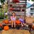Laureen Freire-Gamba's profile image