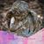 Laura Bentley's profile image