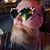 Brian Bollingmo's profile image