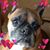 Paula Cyrus's profile image