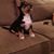 Cindy Strader's profile image