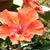 JoAnn Grigsby's profile image