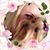 Amy Gott Blunt's profile image
