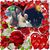 Artur Zhuljeta Zyfi's profile image